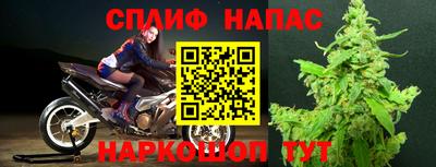 МДПВ Гулькевичи