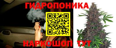 МДПВ Гулькевичи