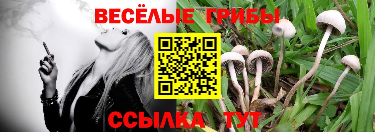 Псилоцибиновые грибы GOLDEN TEACHER Борзя