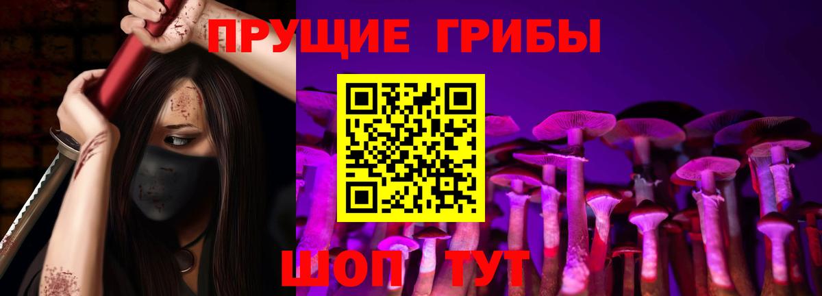 Галлюциногенные грибы Psilocybe  Псилоцибиновые грибы ЛСД  Борзя  Вход с VPN 
